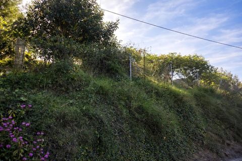 Tomt i Benimeli, Alicante, Benimeli - € 83 000 | Ref: PNPT297 - foto 17